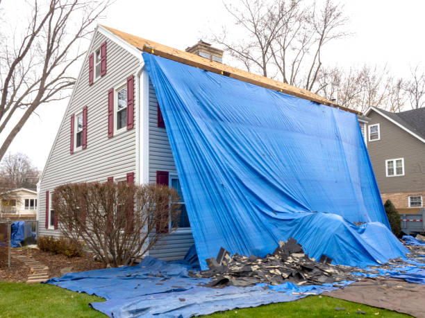 Best Fiber Cement Siding Installation  in Gentry, AR